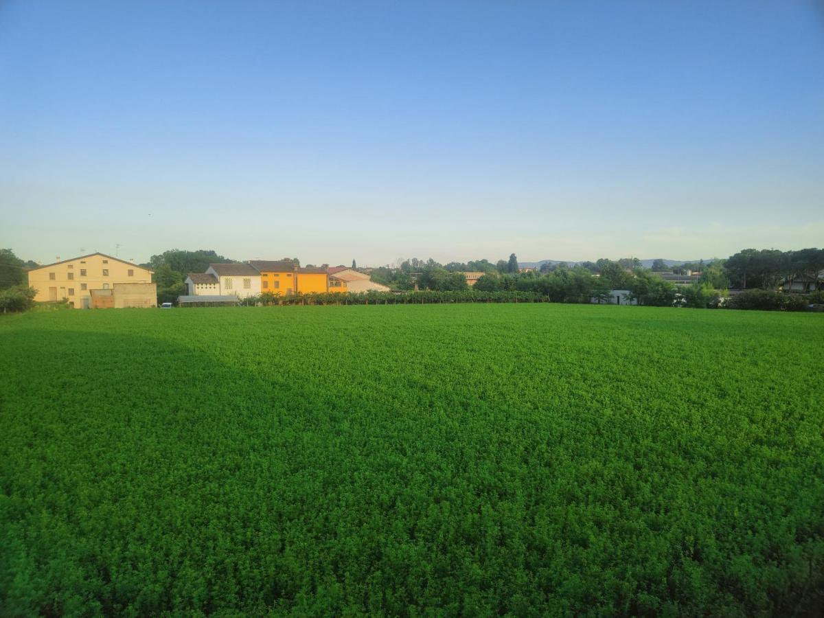 Homestay Lavanda House Vicenza